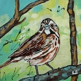 Sweet Sparrow