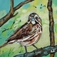 Sweet Sparrow