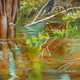 Hidden Hippo (Zambia)
