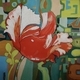 Red Tulip